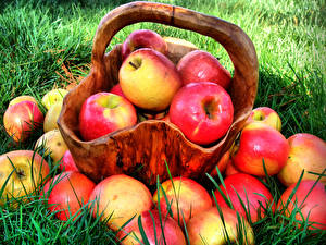 Яблоки польза и вред для организма