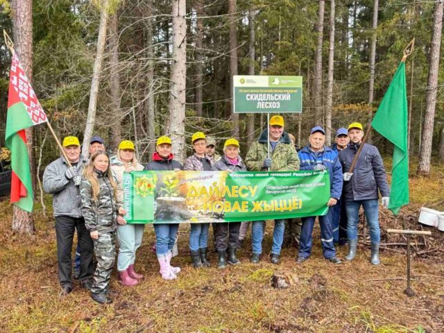 🌲ДАЙ ЛЕСУ НОВАЕ ЖЫЦЦЁ! 🌱