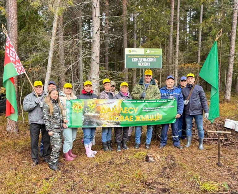 🌲ДАЙ ЛЕСУ НОВАЕ ЖЫЦЦЁ! 🌱