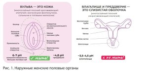 Интимная гигиена